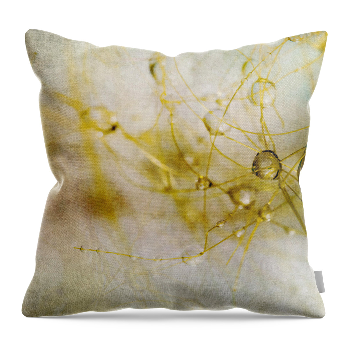 Abstract Throw Pillow featuring the photograph Opus No. 2 by Ryan Weddle