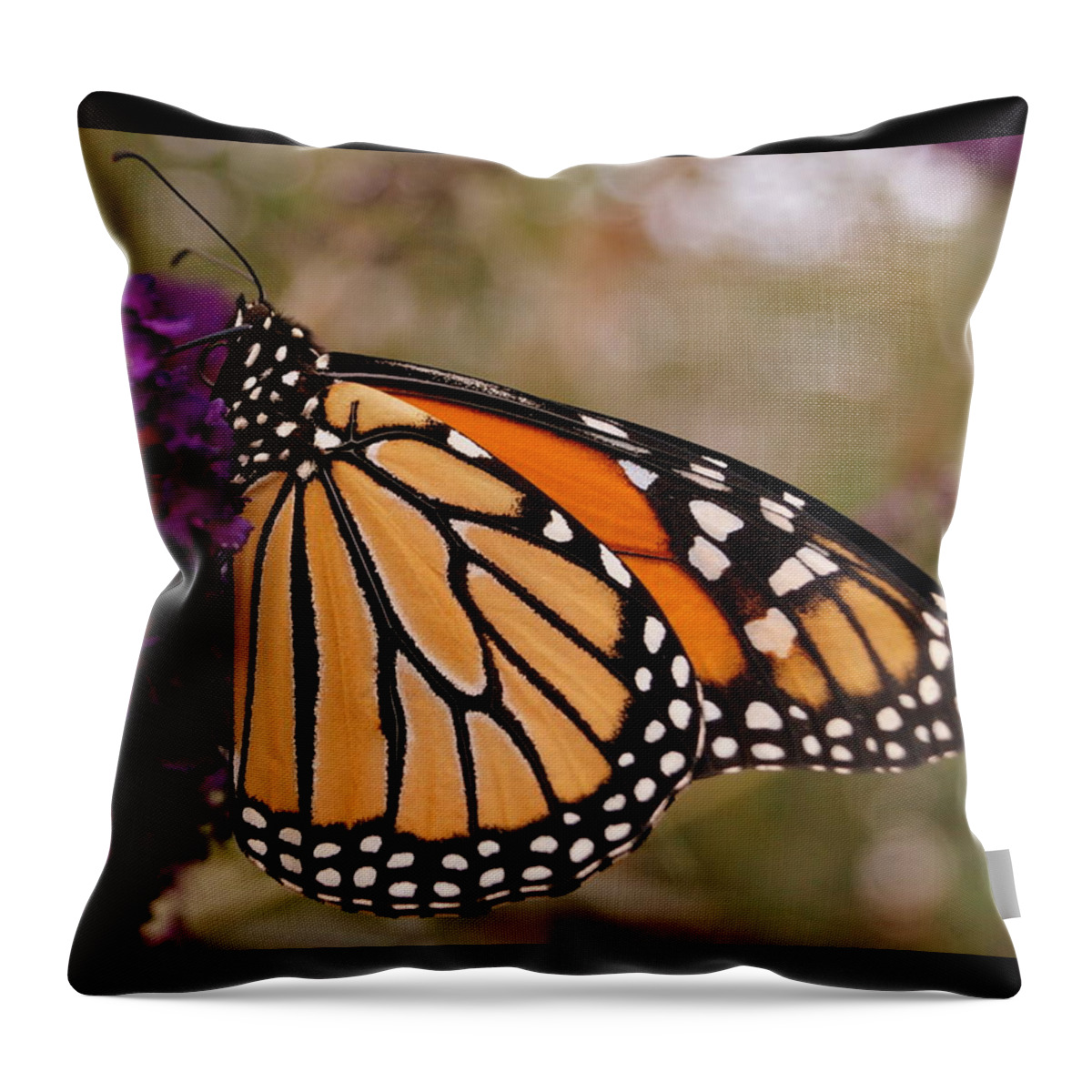 Butterfly Throw Pillow featuring the photograph Orange and Black Beauty by Beth Collins