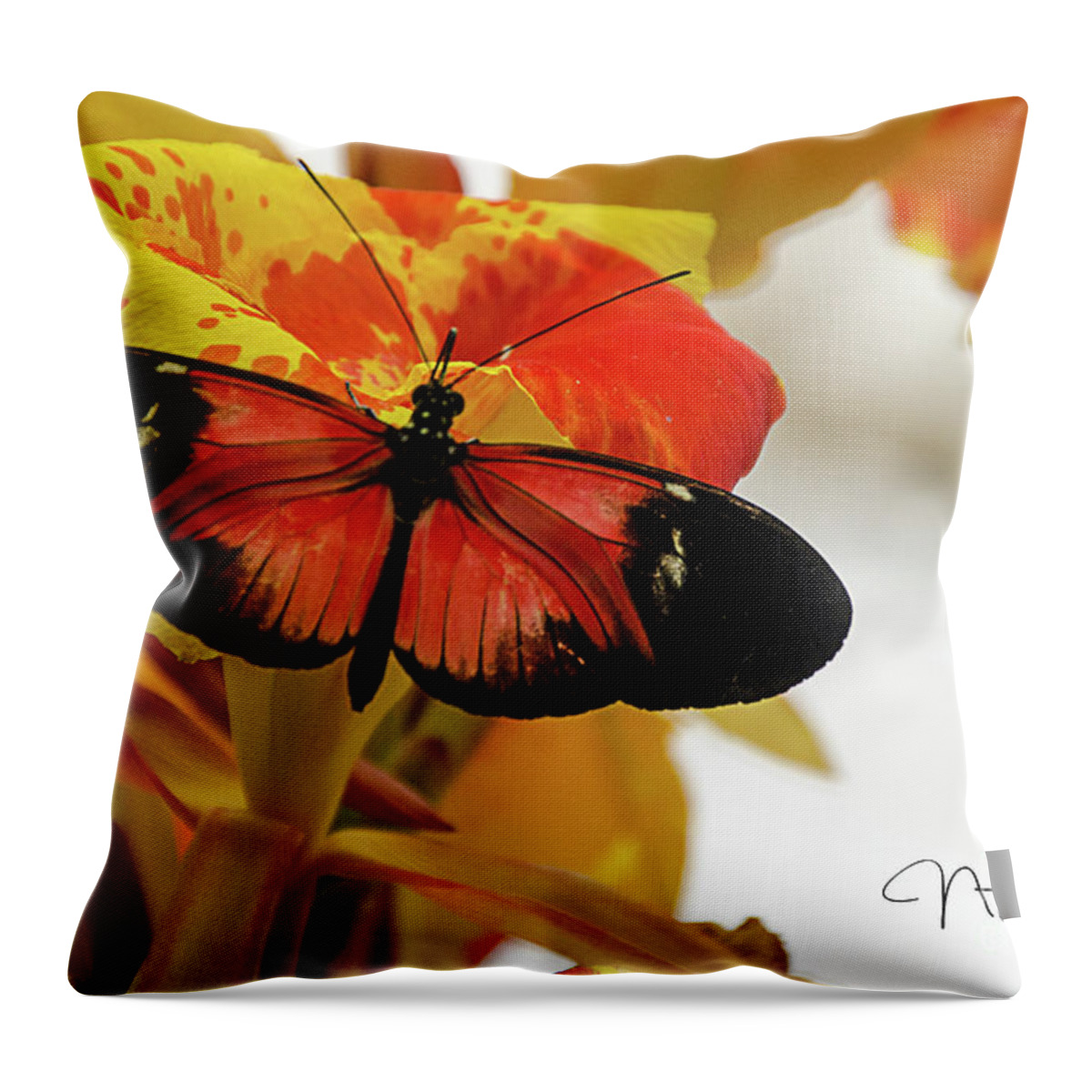 Orange Throw Pillow featuring the photograph Orange and Black Butterfly by Norma Warden