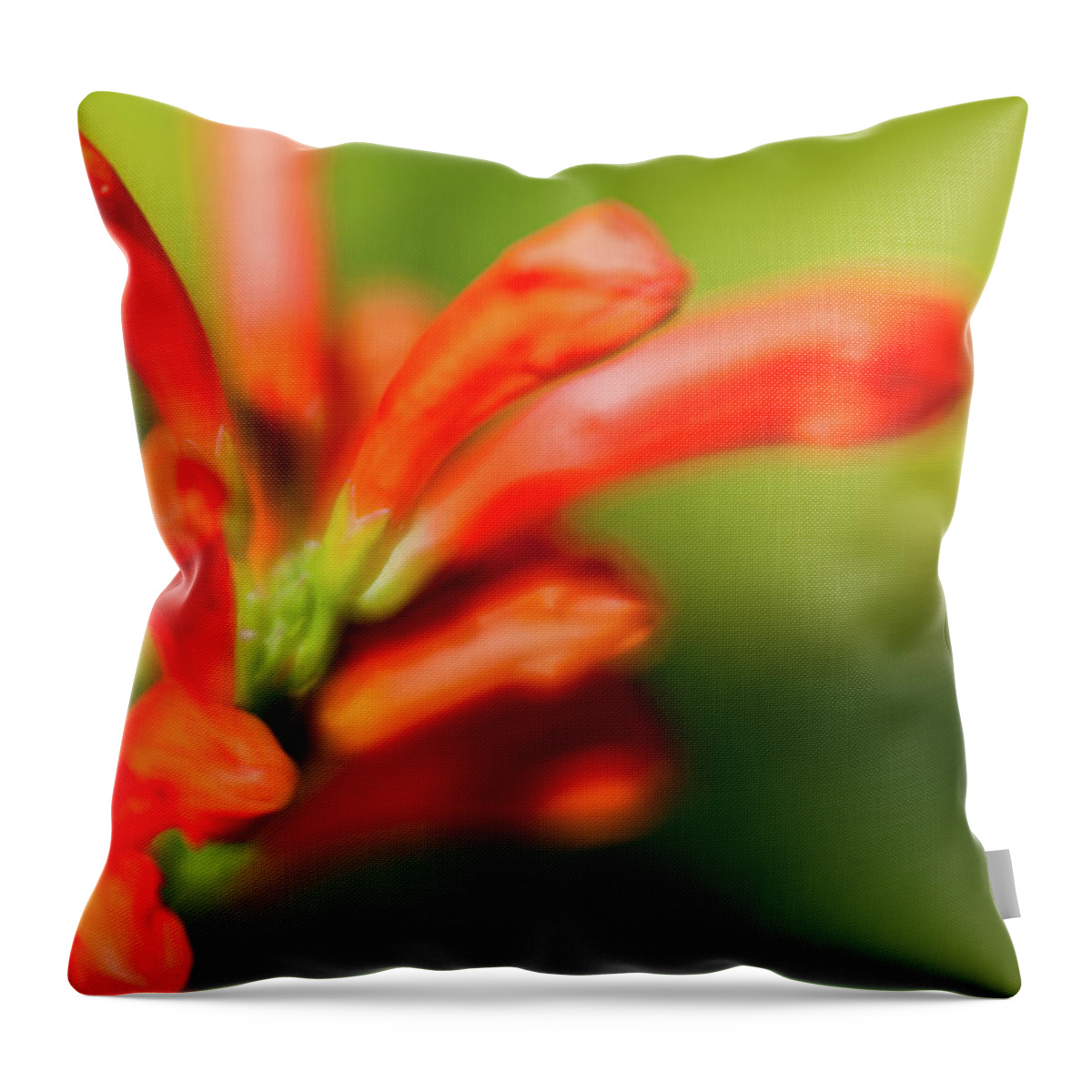 Flower Throw Pillow featuring the photograph Orange and green by Al Hurley