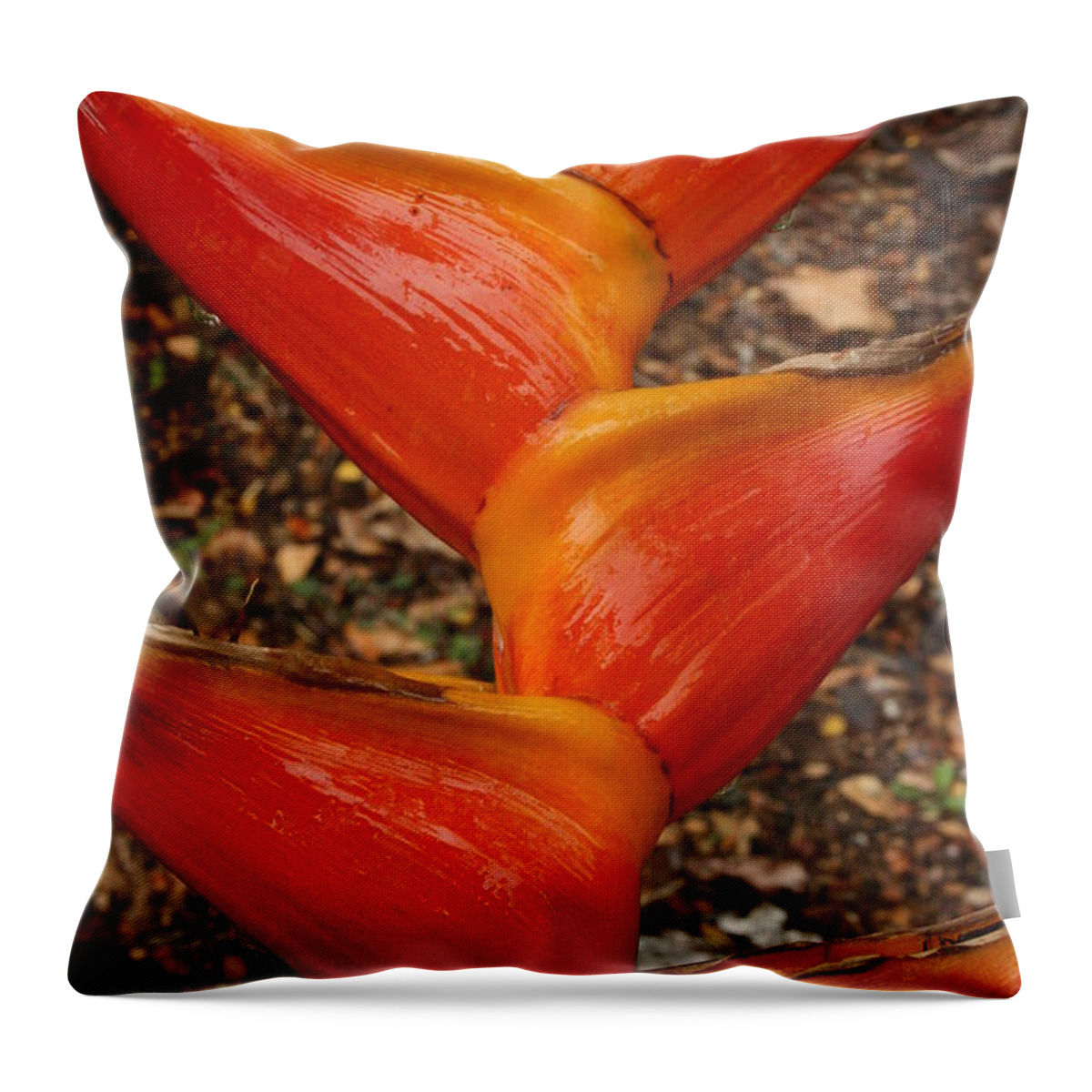 Orange Flowers Throw Pillow featuring the photograph Orange and Red Haleconia by Jennifer Bright Burr
