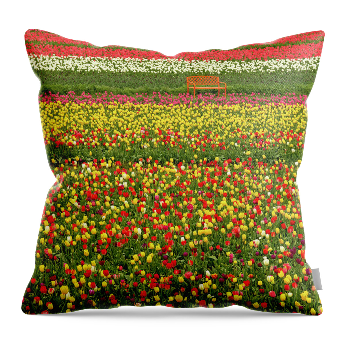 Tulips Throw Pillow featuring the photograph Orange Bench on A Tulip Field by Aashish Vaidya