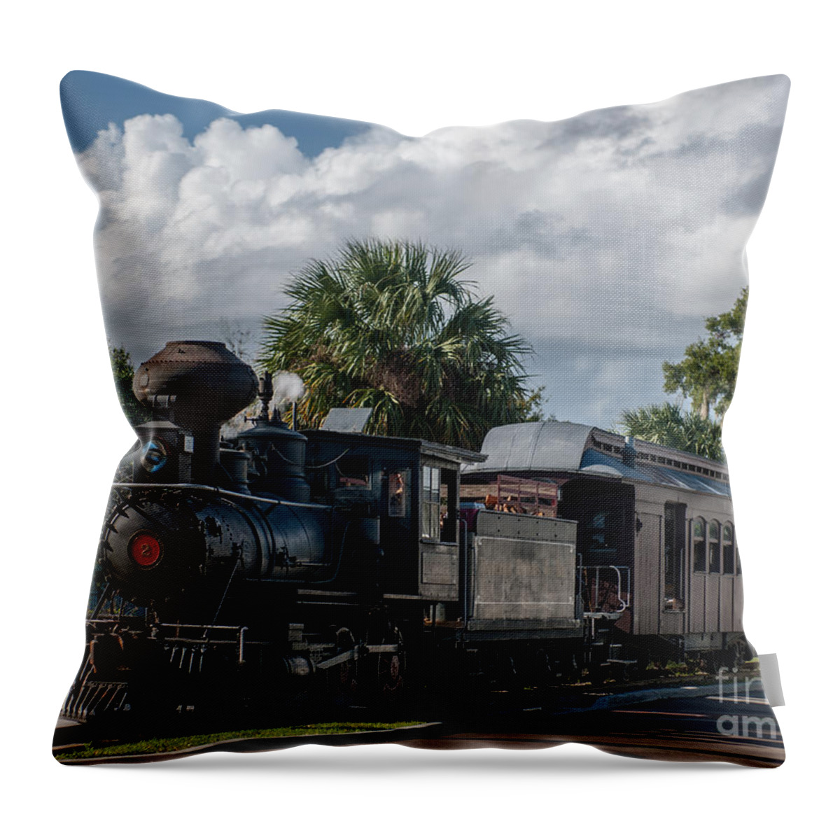 Orange Blossom Trail Throw Pillow featuring the photograph Orange Blossom Trail by Dale Powell