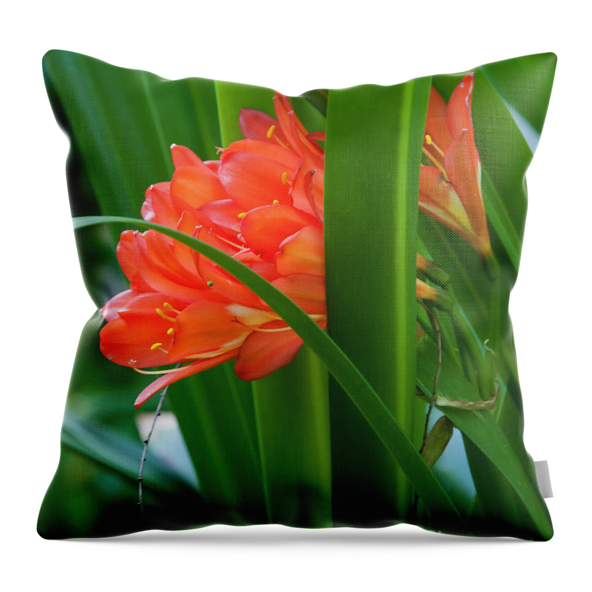 Floral Throw Pillow featuring the photograph Orange Brilliance Peeking Out Between The Leaves by Kirt Tisdale