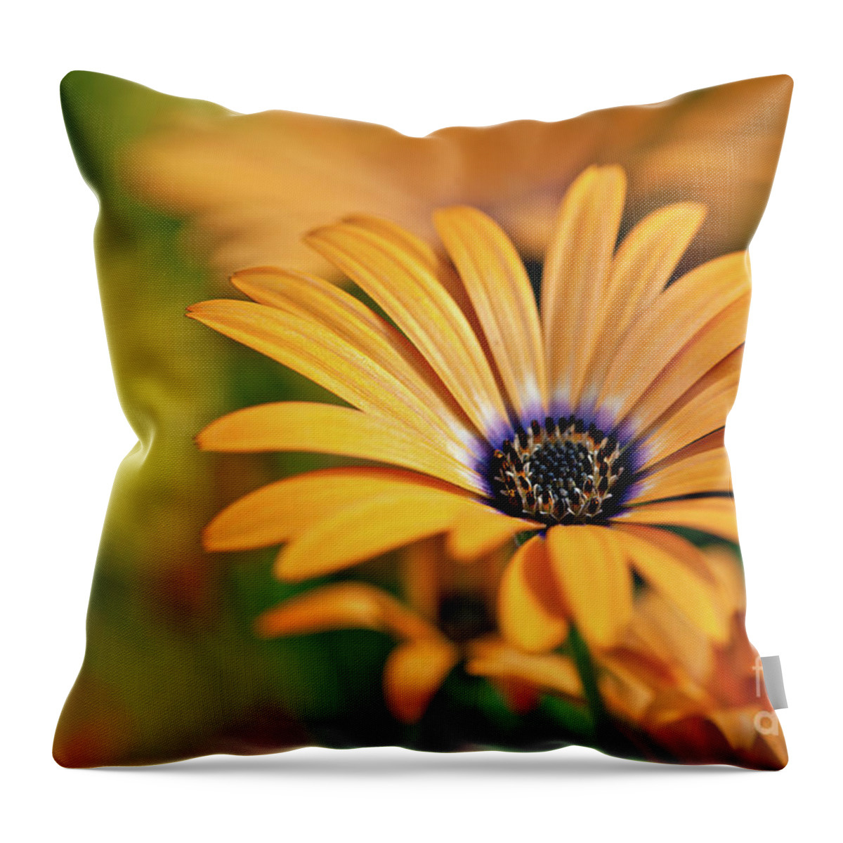 Botanical Throw Pillow featuring the photograph Orange Crush by Charles Dobbs