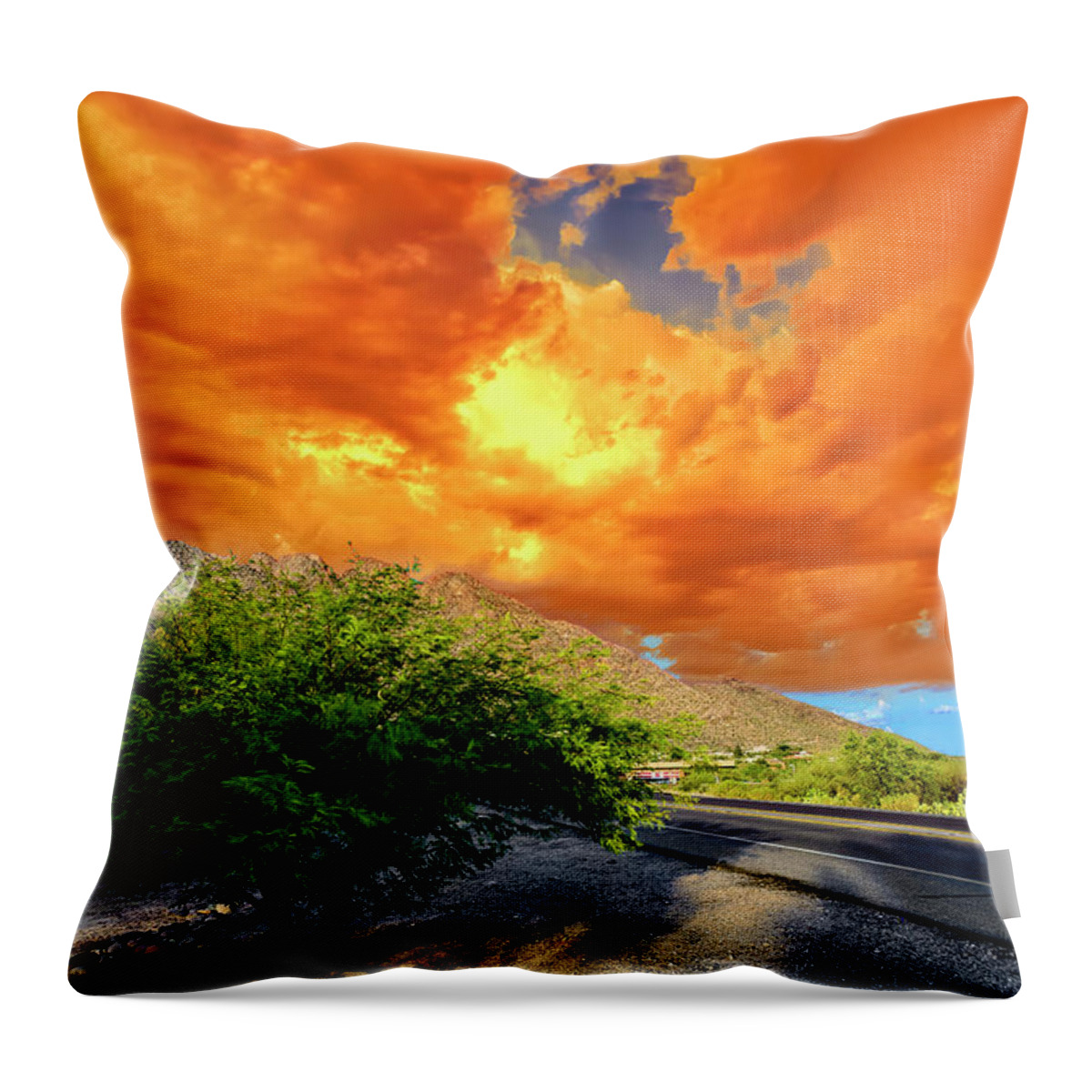 Arizona Throw Pillow featuring the photograph Orange Crush h07 by Mark Myhaver