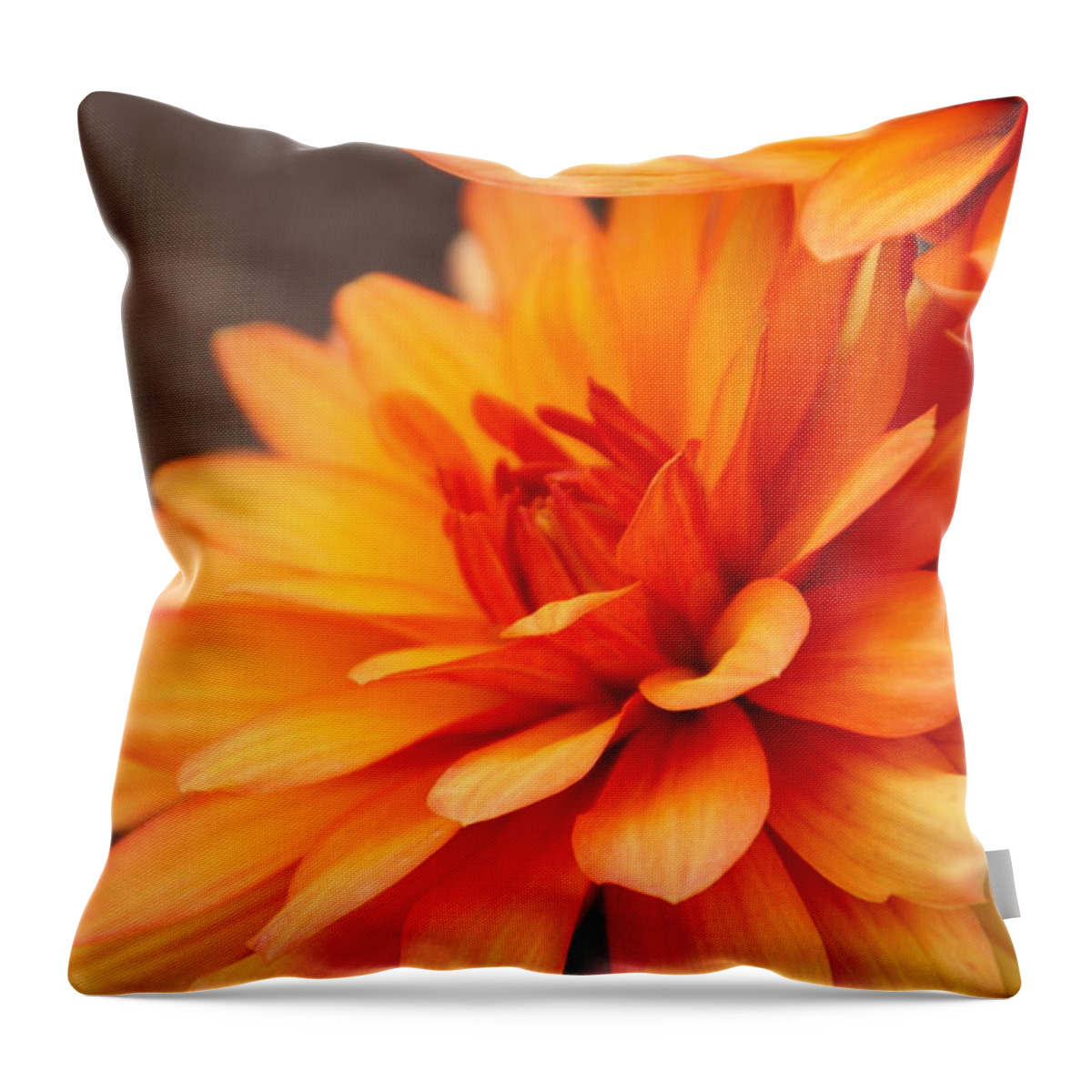 Floral Throw Pillow featuring the photograph Orange Dahlia by Debbie Nobile