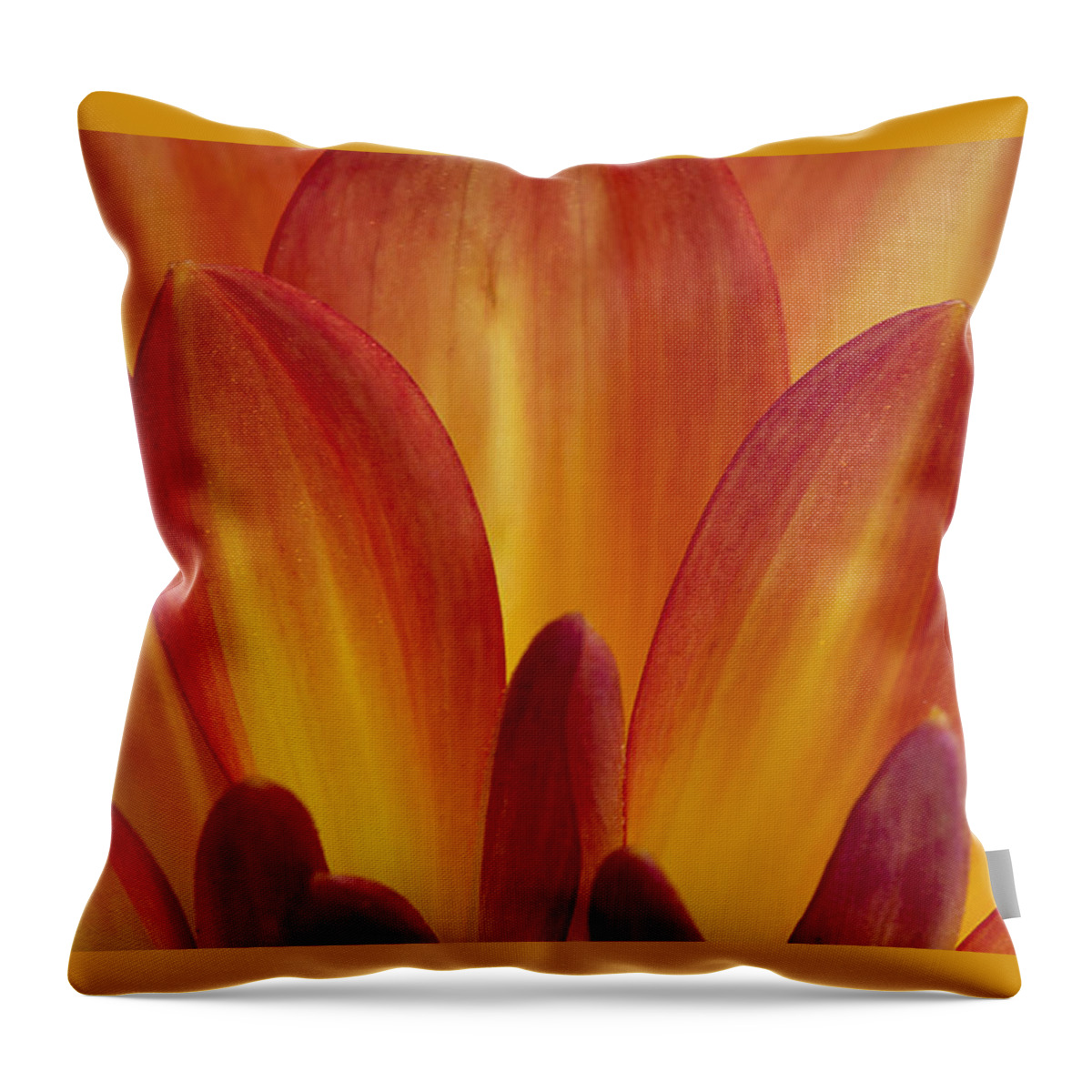 Orange Throw Pillow featuring the photograph Orange Dahlia Petals by Morgan Wright
