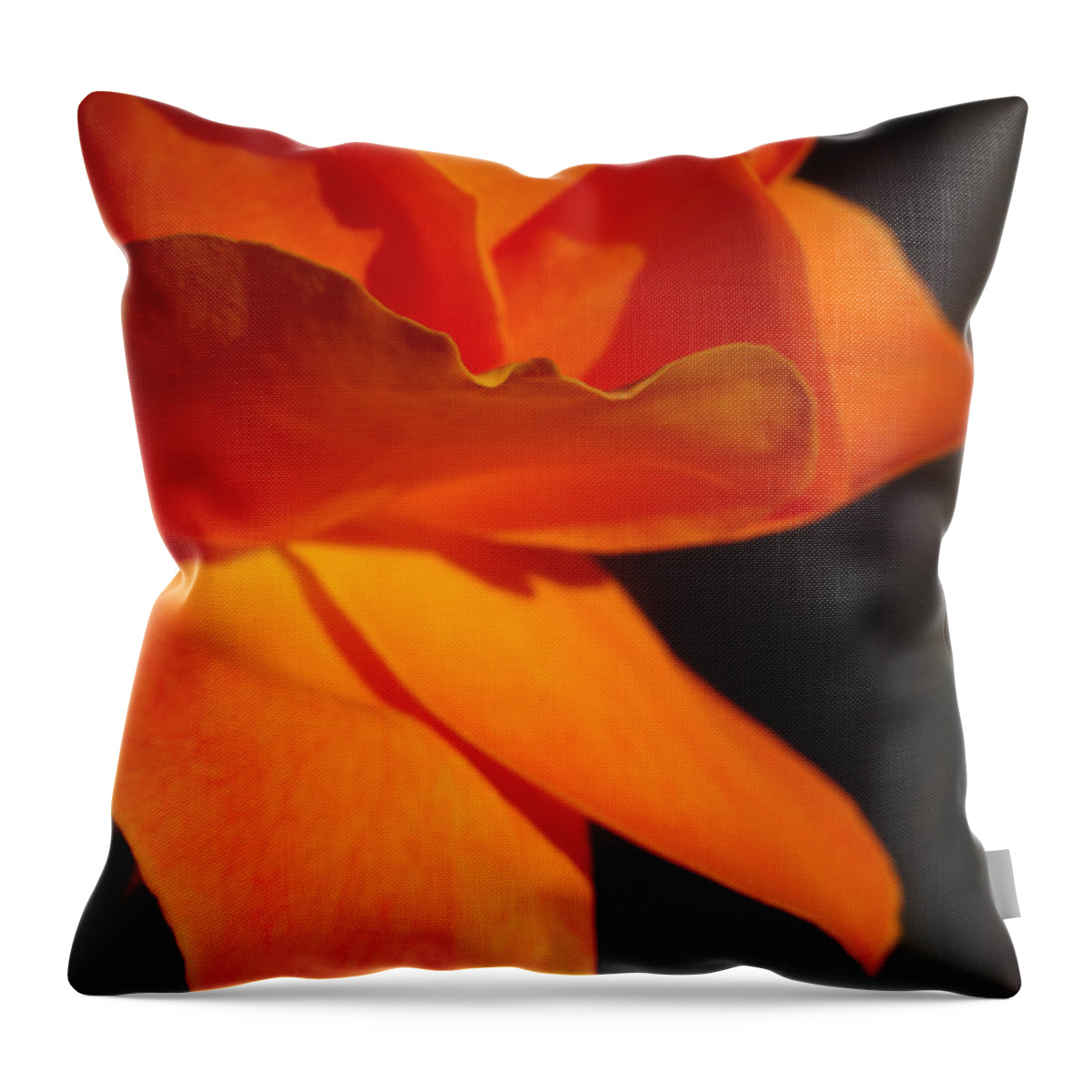 Orange Rose Throw Pillow featuring the mixed media Orange Delight by Richard Laeton