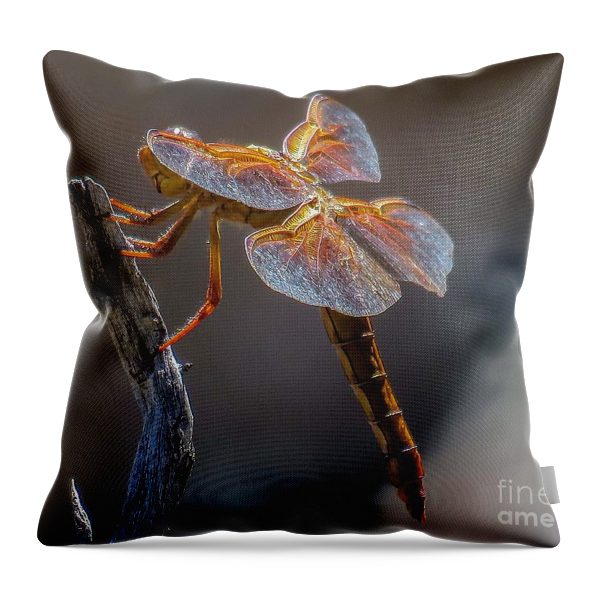 Nature Throw Pillow featuring the photograph Dragonfly 2 by Christy Garavetto