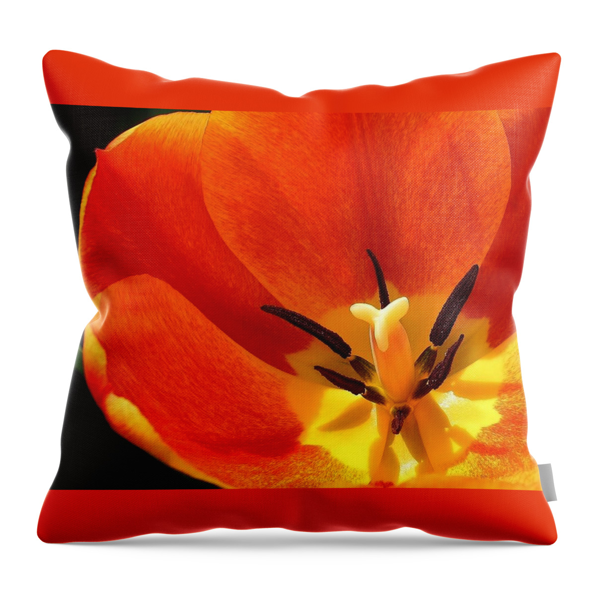 Flora Throw Pillow featuring the photograph Orange Fiesta by Bruce Bley