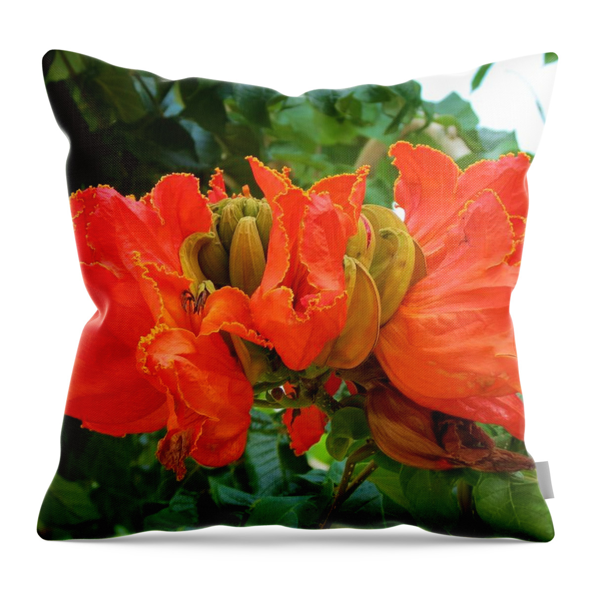Mexico Throw Pillow featuring the photograph Orange Flowers by Vijay Sharon Govender