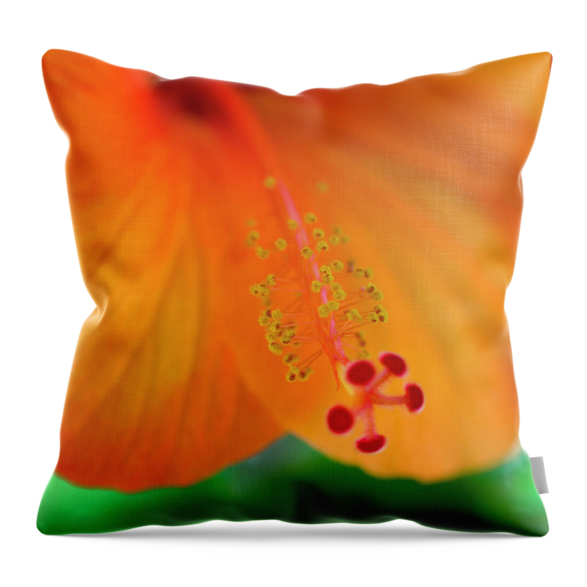 Hibiscus Throw Pillow featuring the photograph Orange Hibiscus by Christopher Johnson