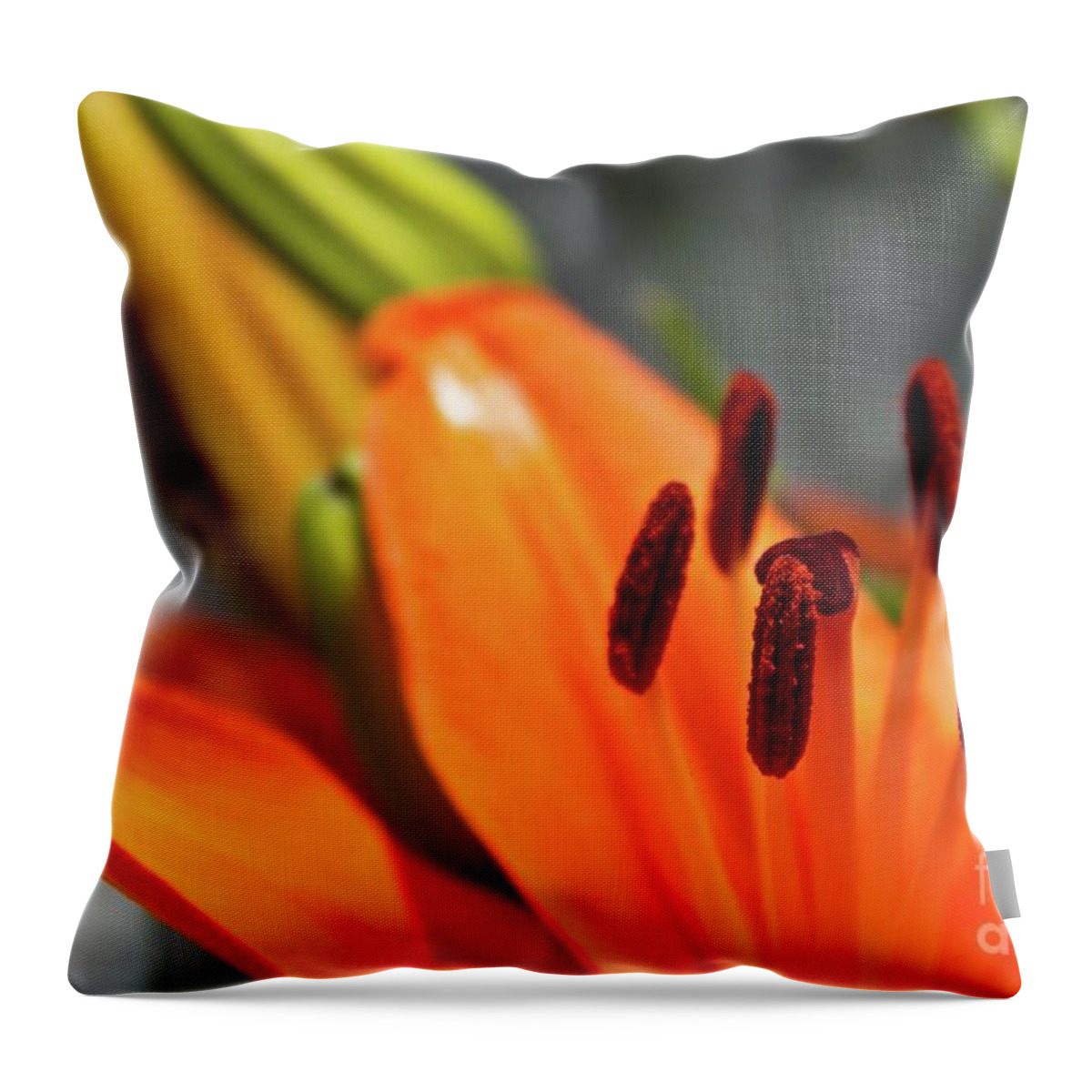 Orange Throw Pillow featuring the photograph Orange Lily Close Up by Ms Judi