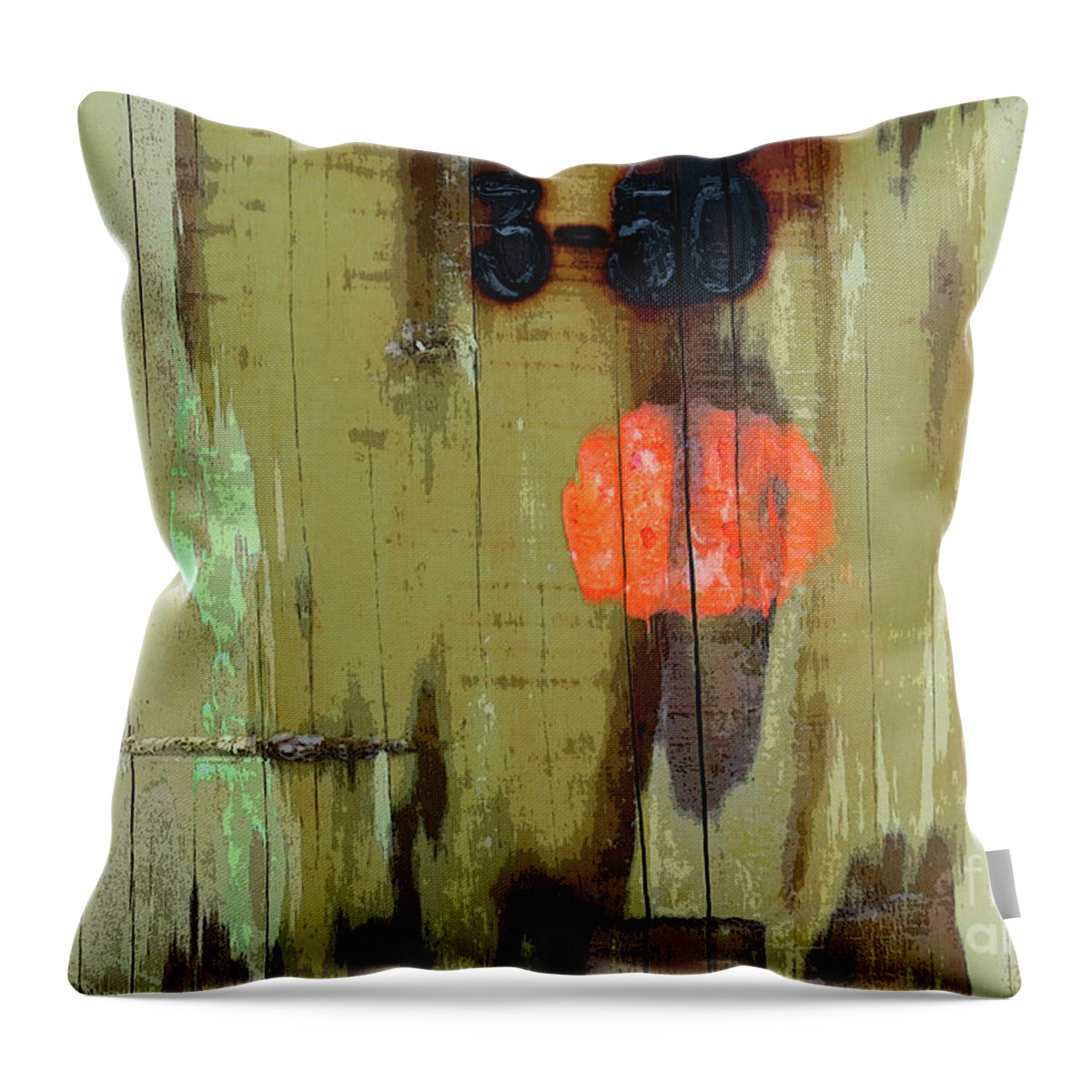Sandra Church Throw Pillow featuring the photograph Orange Spot by Sandra Church