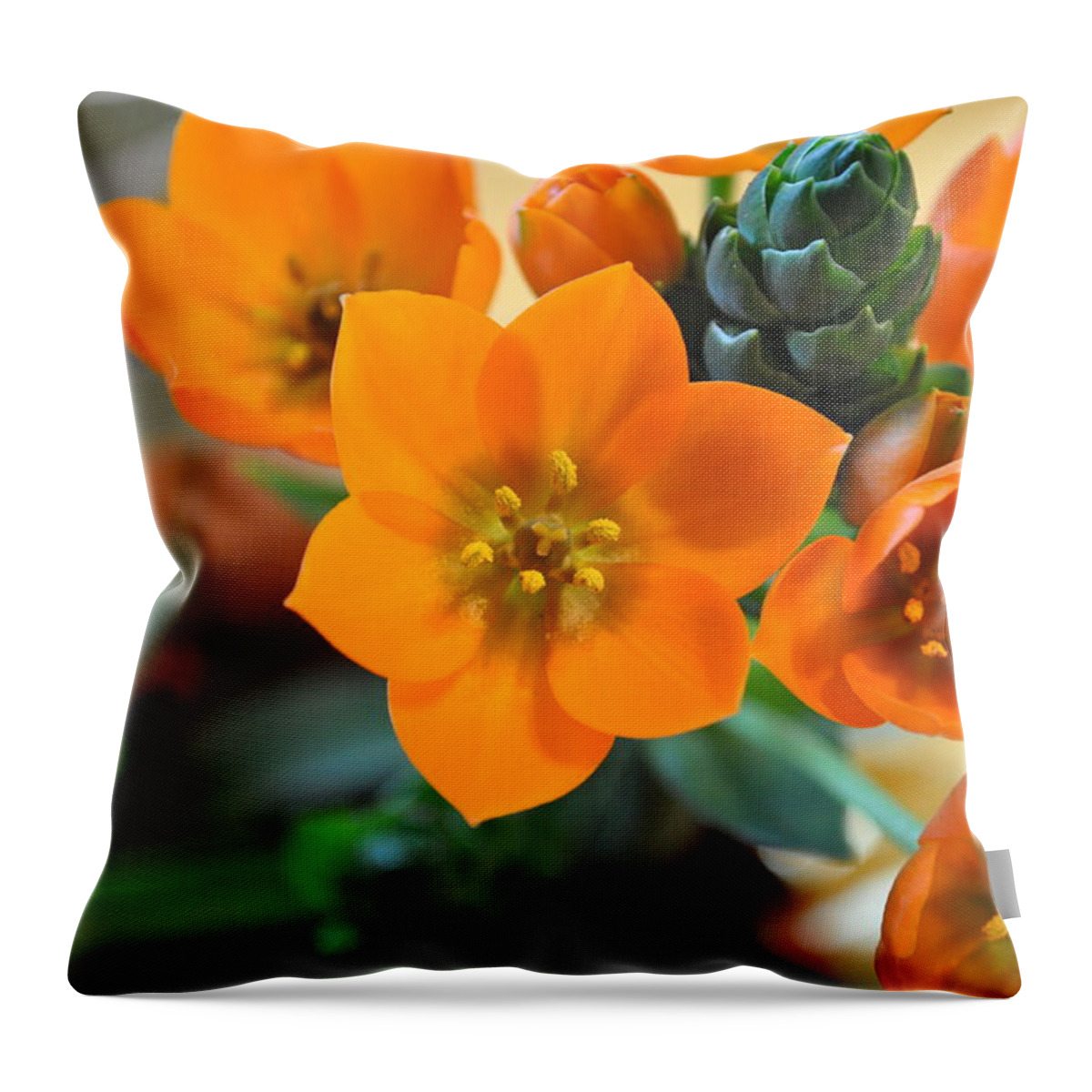 Orange Throw Pillow featuring the photograph Orange Star by Bridgette Gomes