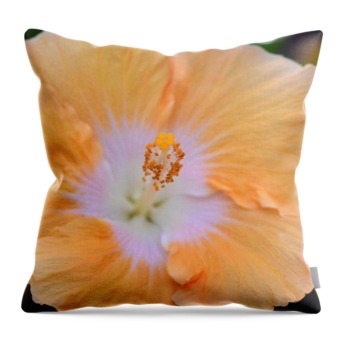 Flower Throw Pillow featuring the photograph Orange White Hibiscus 1 by Amy Fose