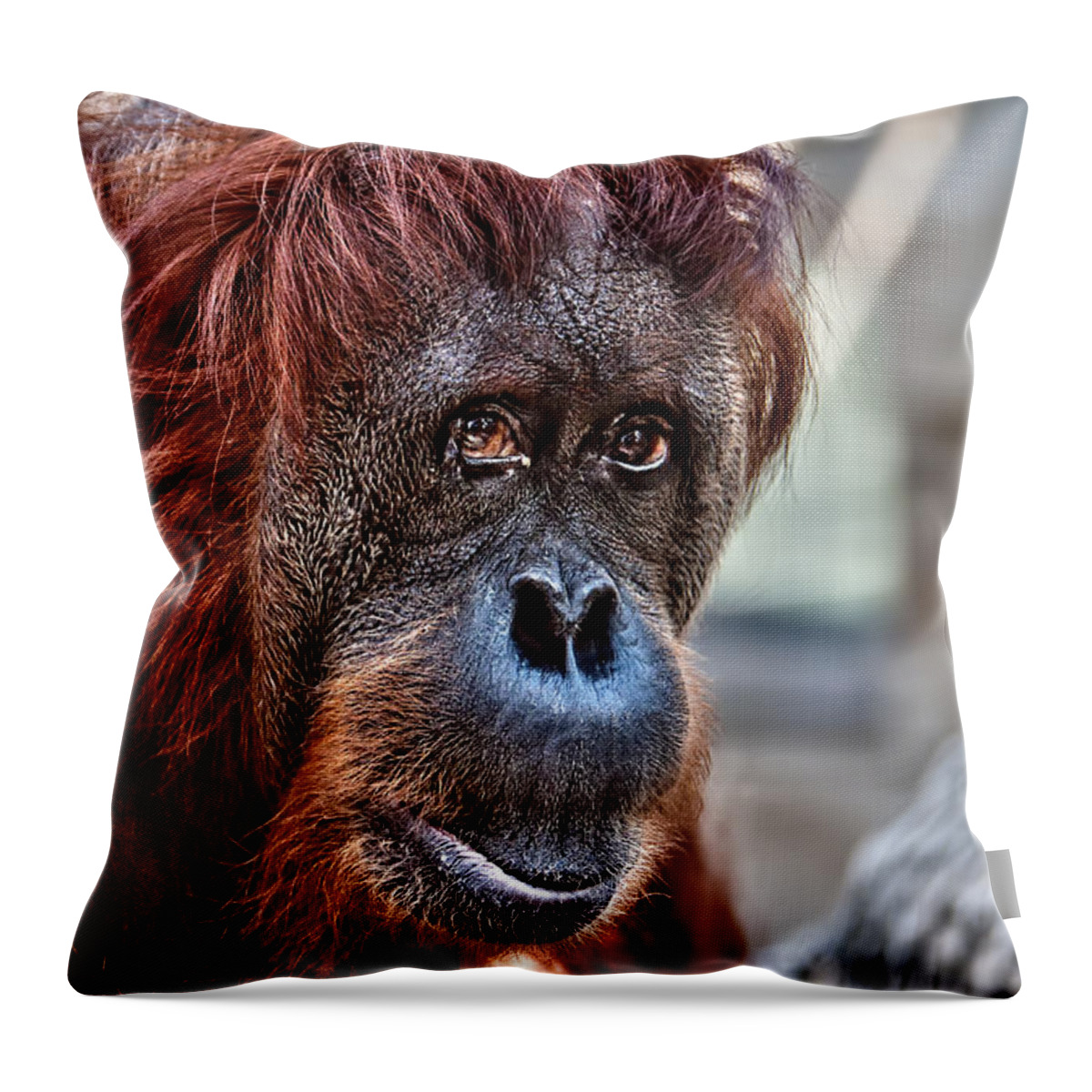 Affen Throw Pillow featuring the photograph OrangUtan by Joerg Lingnau