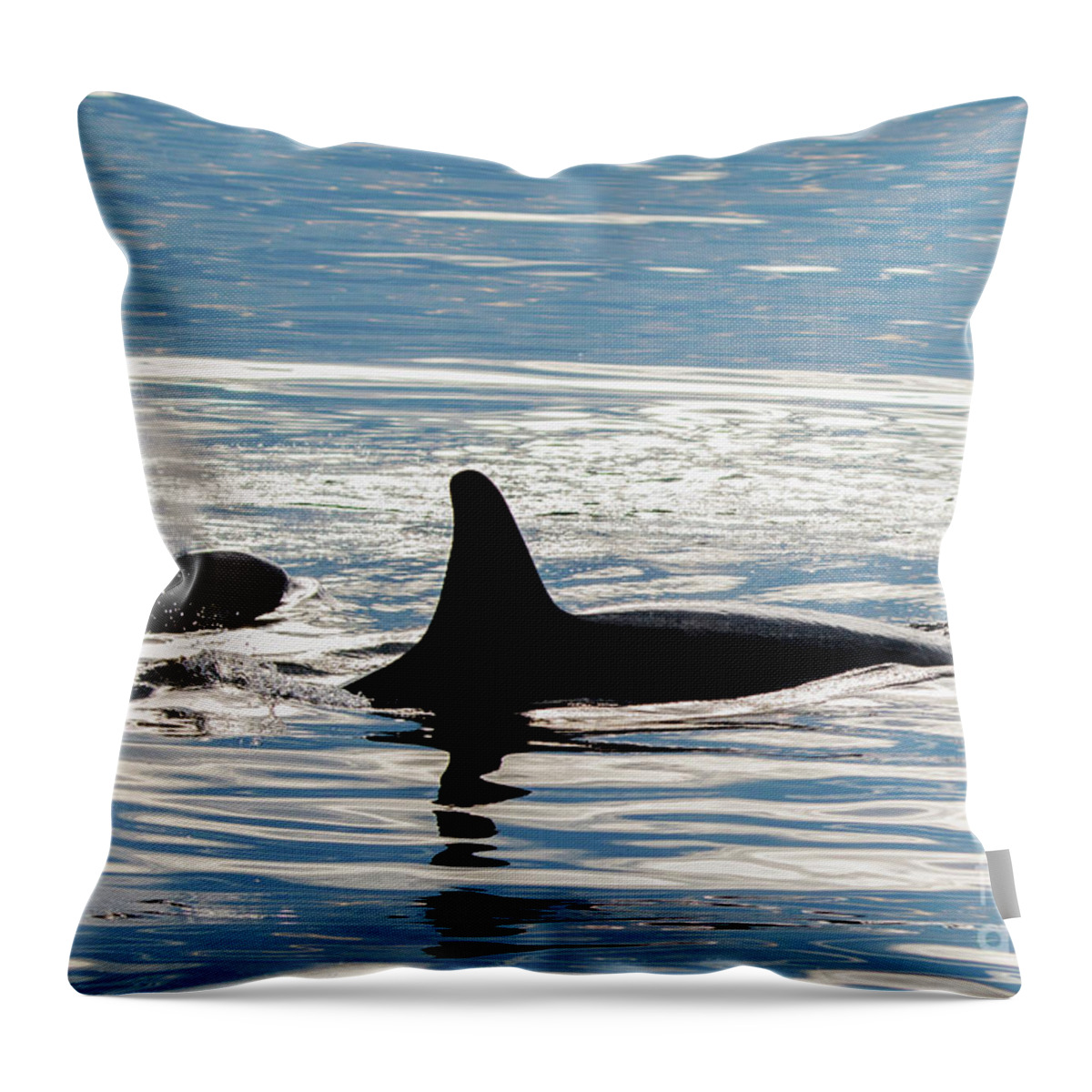 Orca Throw Pillow featuring the photograph Orca Pair by Michael Dawson