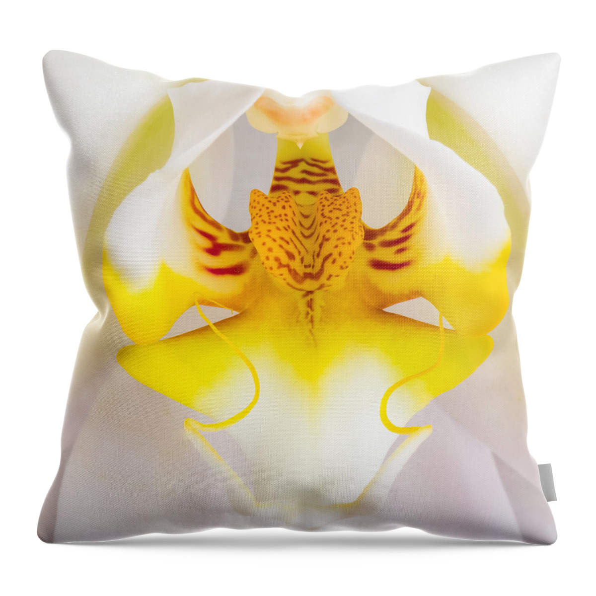 Orchid Throw Pillow featuring the photograph Orchid 1 by Patricia Schaefer