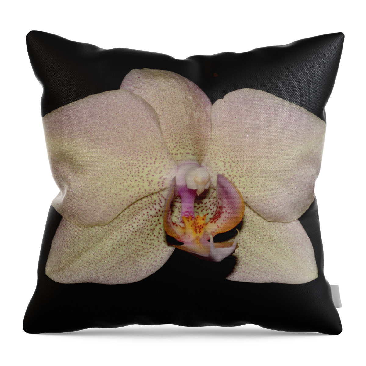 Nature Throw Pillow featuring the photograph Orchid 2016 2 by Robert Morin
