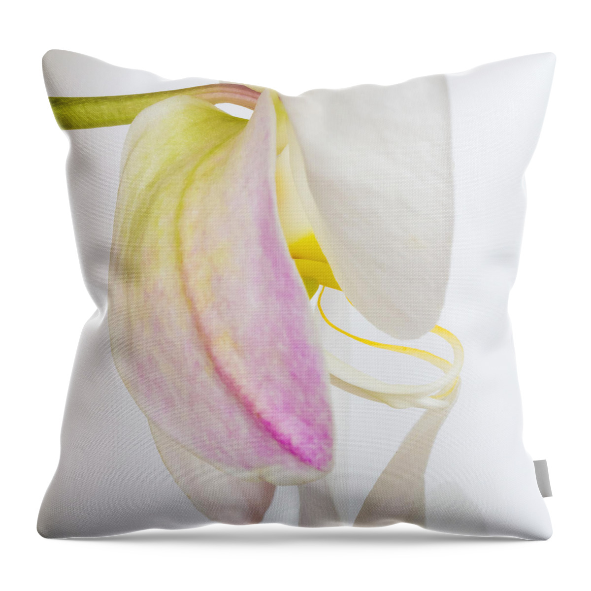 Orchid Throw Pillow featuring the photograph Orchid 3 by Patricia Schaefer