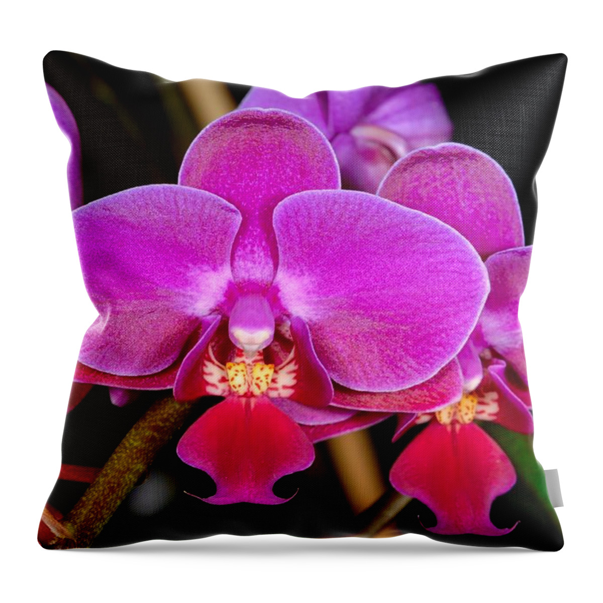 Orchid Throw Pillow featuring the photograph Orchid 422 by Wesley Elsberry