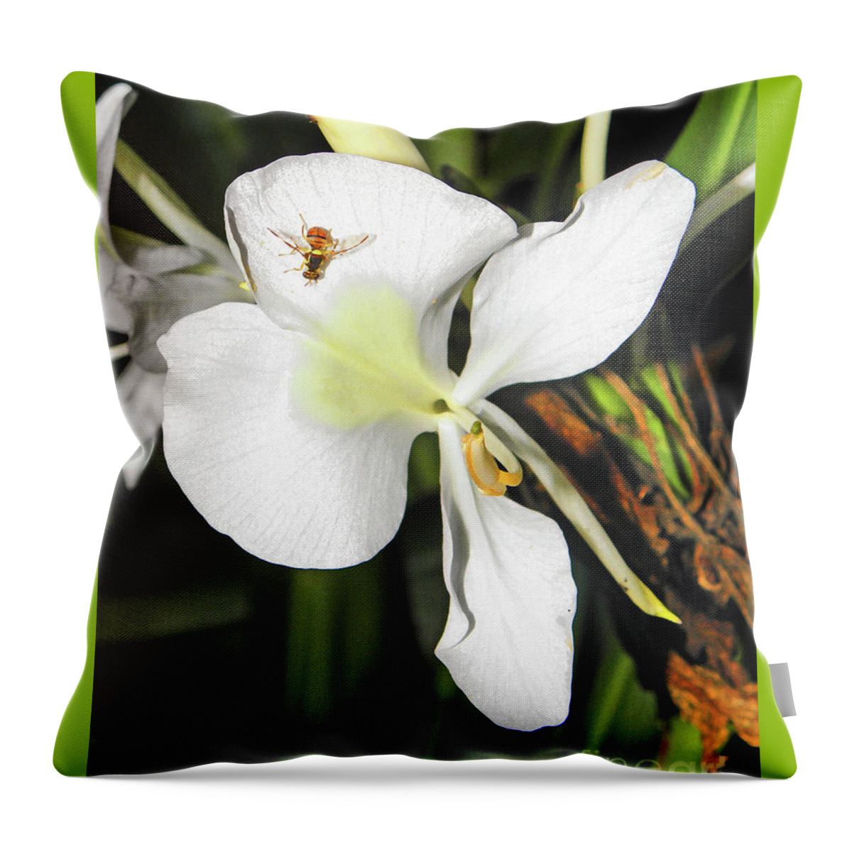 Flowers Throw Pillow featuring the photograph Orchid and Bee by Elizabeth Hoskinson