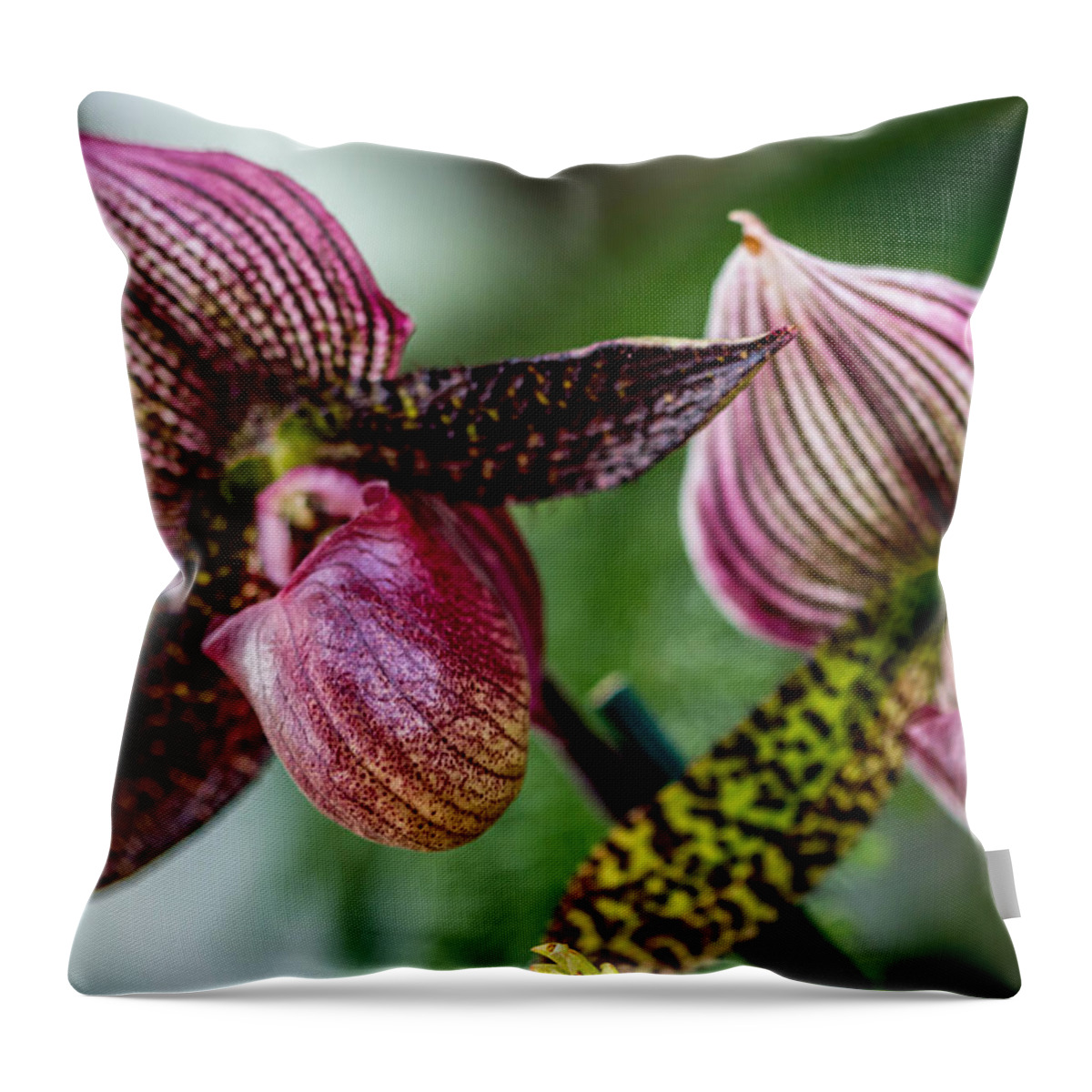 Orchid Throw Pillow featuring the photograph Orchid Duo by Susie Weaver