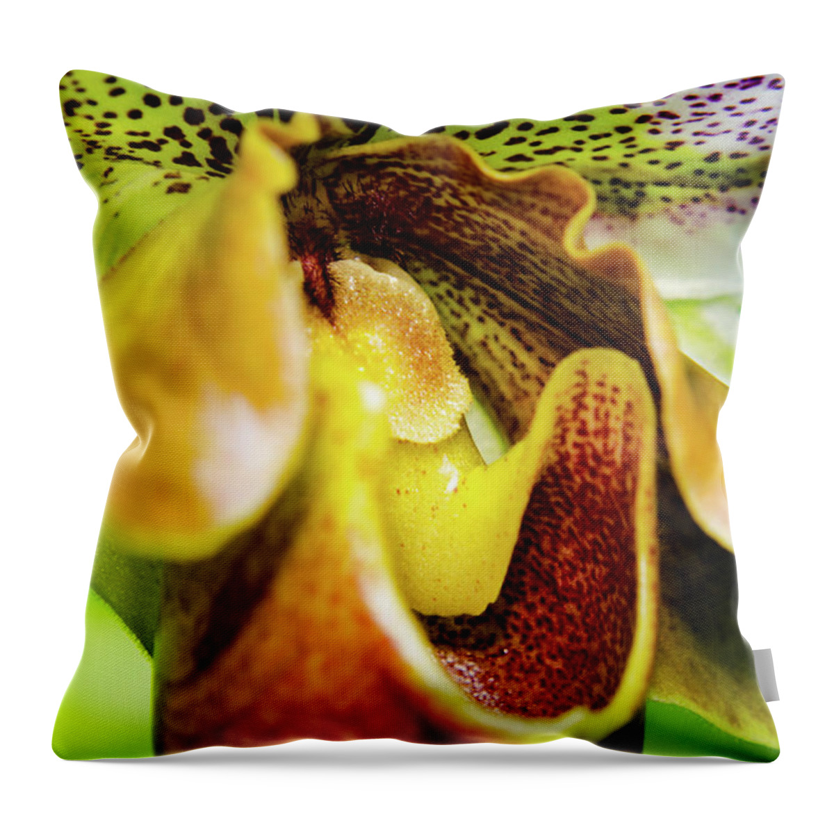 Cleveland Botanical Gardens Throw Pillow featuring the photograph Orchid Faces by Stewart Helberg