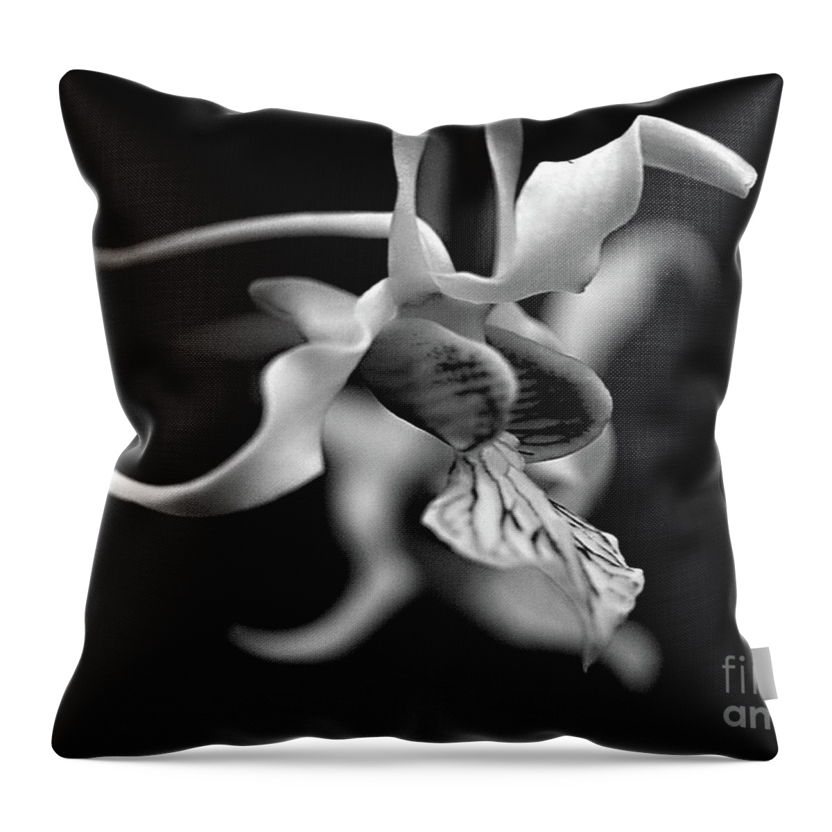 Orchid Throw Pillow featuring the photograph Orchid in Black and White by Sherry Hallemeier
