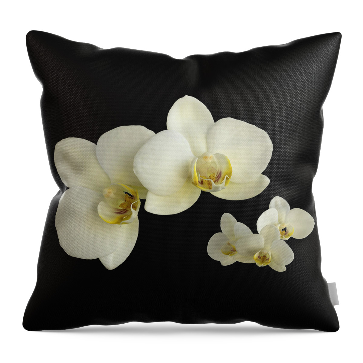 Orchid Throw Pillow featuring the photograph Orchid Montage by Hazy Apple