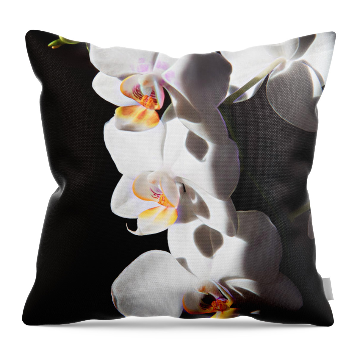 Orchids Throw Pillow featuring the photograph Orchid Quartet by Natalie Rotman Cote