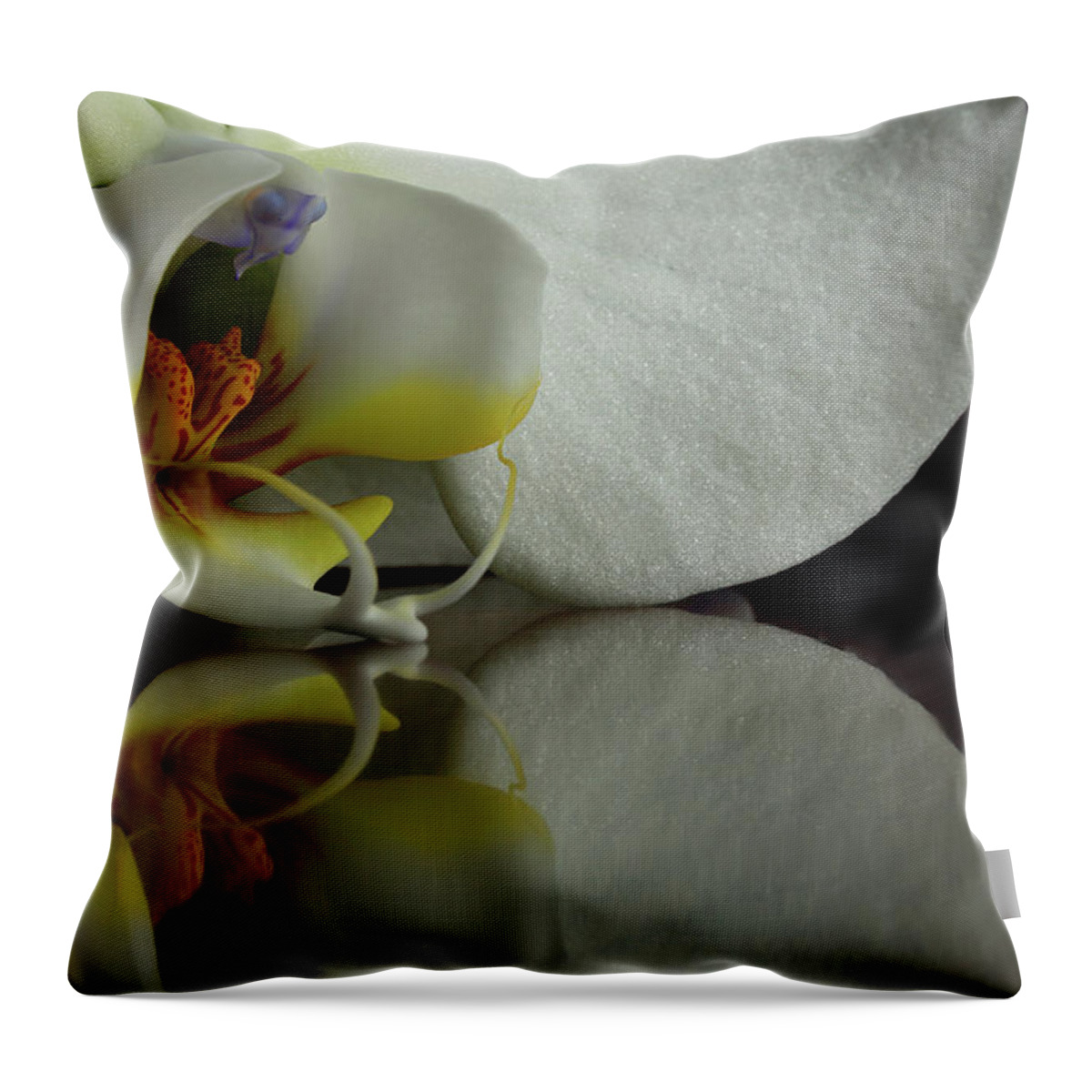 Orchid Throw Pillow featuring the photograph Orchid Reflected by Bob Cournoyer