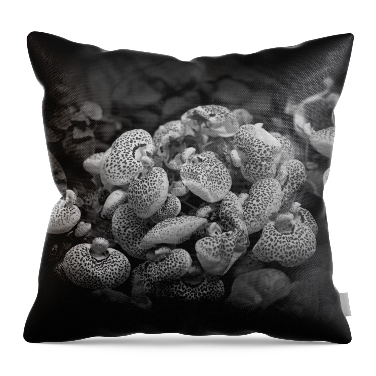Black & White Throw Pillow featuring the photograph Orchids In Gray by Ray Congrove