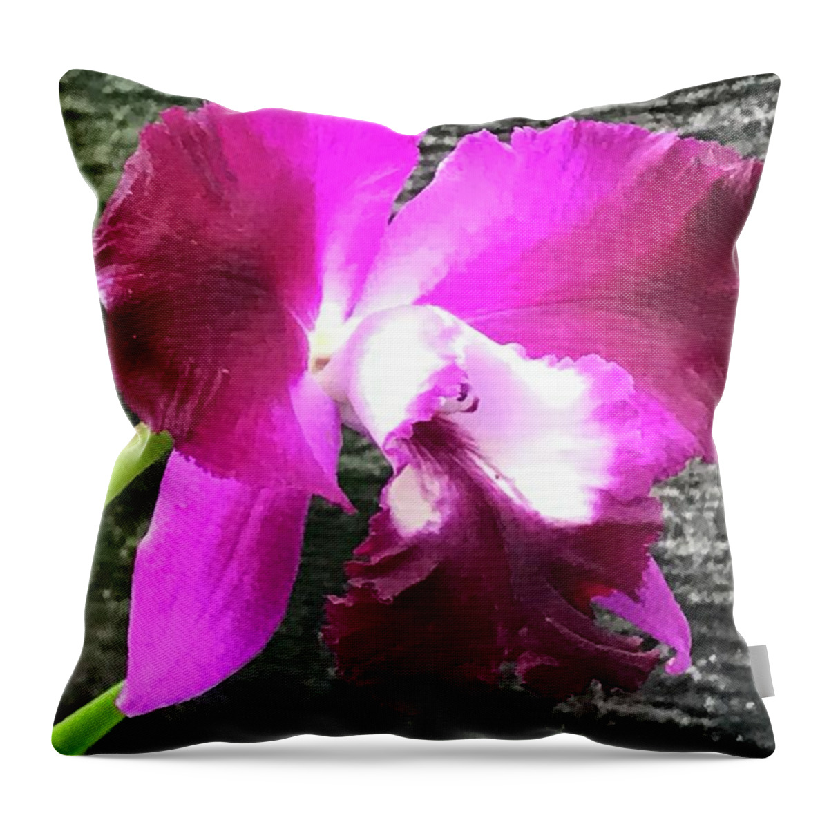 Flowers Throw Pillow featuring the photograph Orchids by Jean Wolfrum