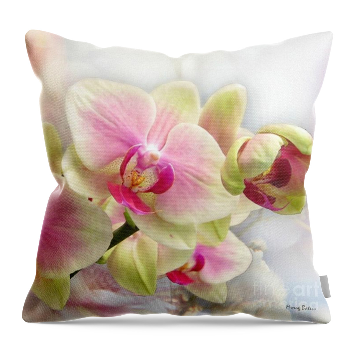 Orchids Throw Pillow featuring the photograph Pretty Orchid by Morag Bates