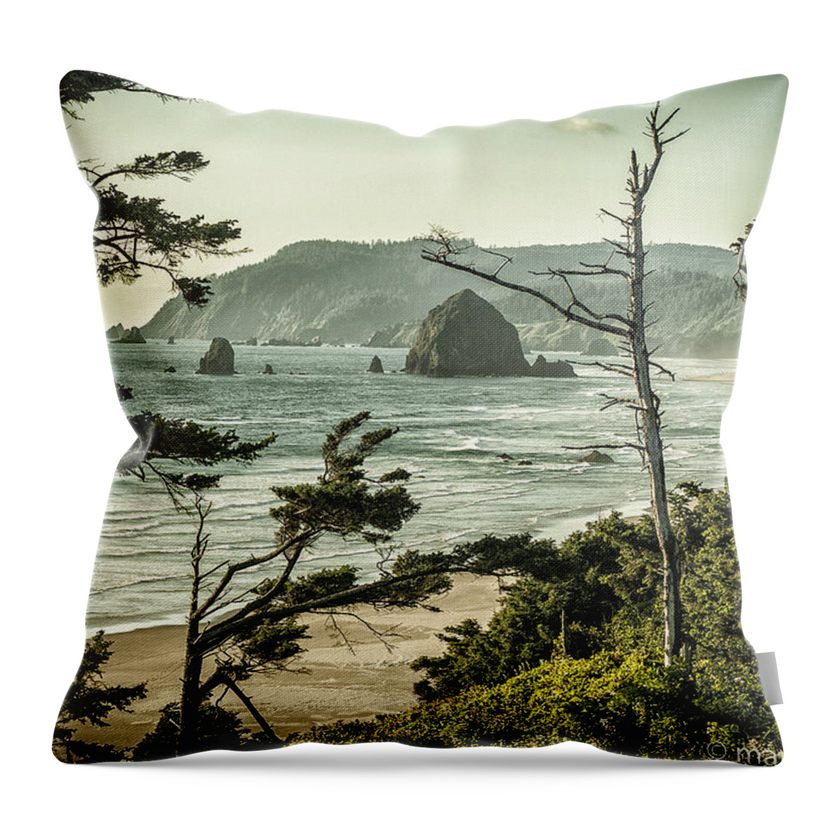 Oregan Coast Throw Pillow featuring the photograph Oregon Coast at Sunset by Mark Peavy