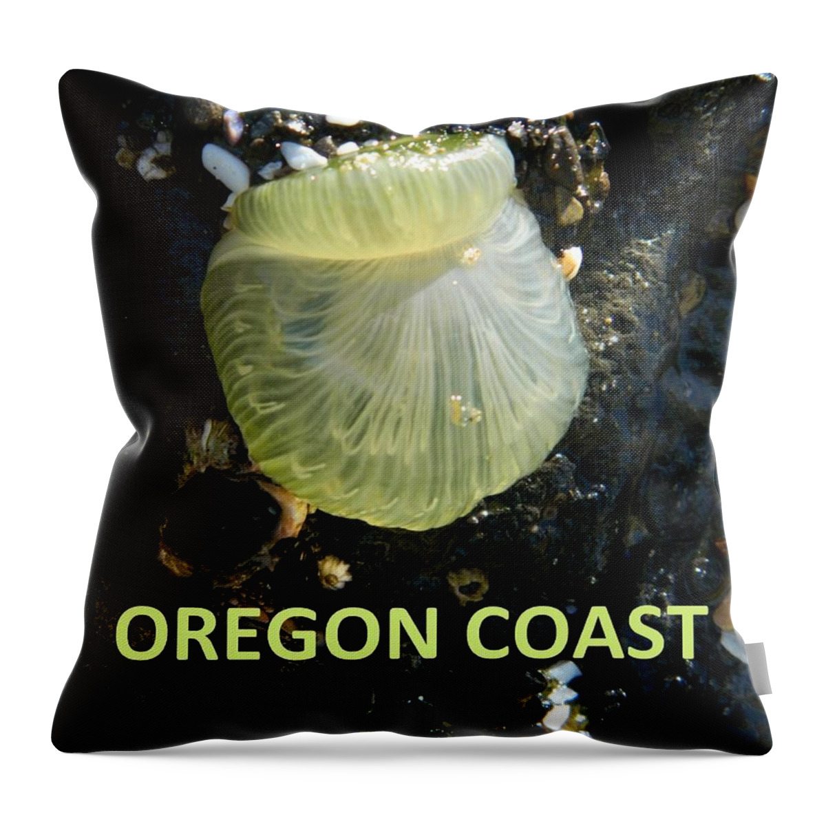 Oregon Throw Pillow featuring the photograph Oregon Coast Sea Anemone by Gallery Of Hope 