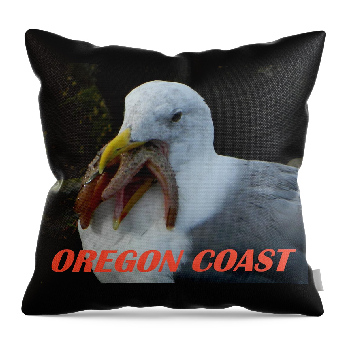 Seagull Throw Pillow featuring the photograph Oregon Coast Seagull Eating Starfish by Gallery Of Hope 