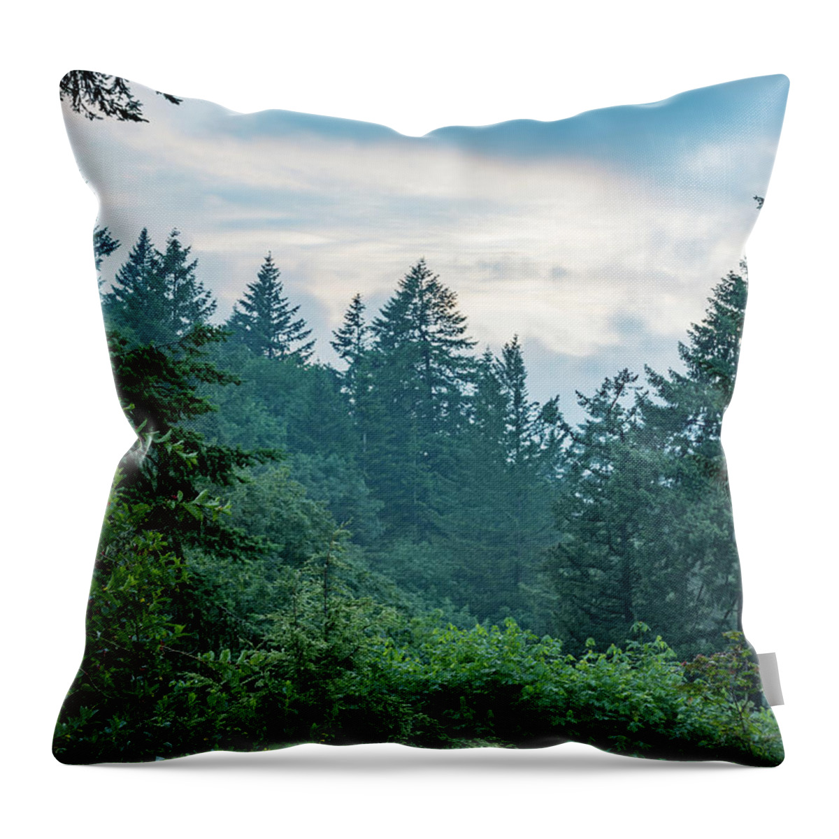 Cloudy Throw Pillow featuring the photograph Oregon Evergreens at Dusk by Anthony Doudt