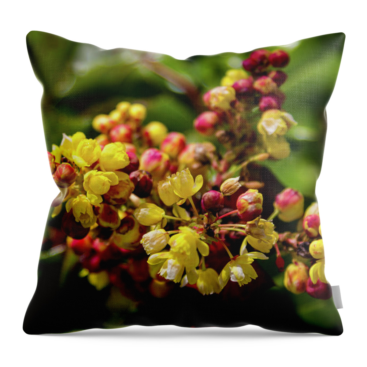 Flower Throw Pillow featuring the photograph Oregon Grape Holly Flowers by Aashish Vaidya