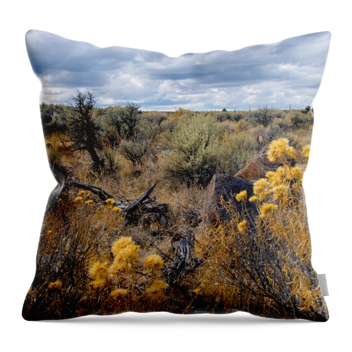 Oregon Throw Pillow featuring the photograph Oregon High Desert by Betty LaRue