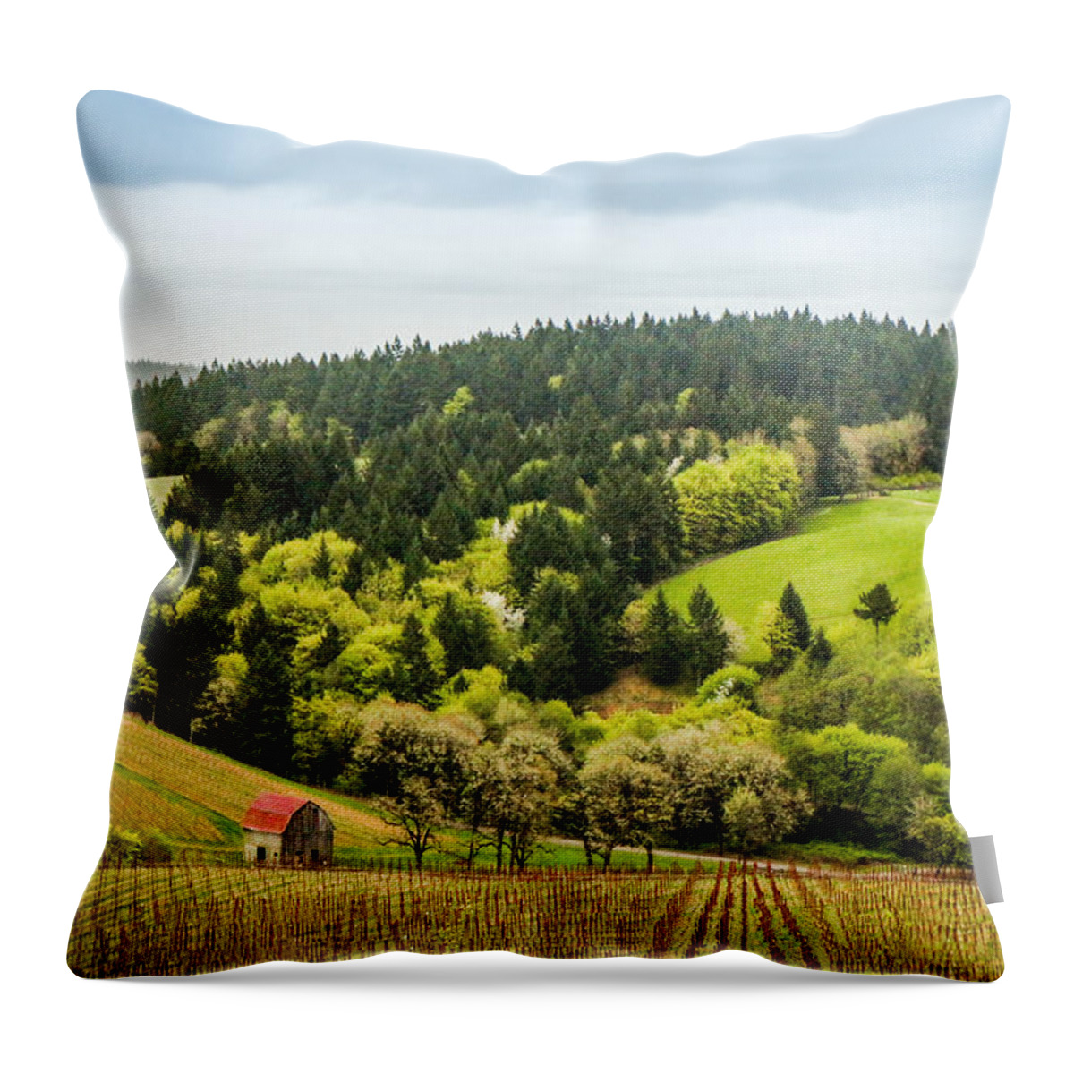 Oregon Throw Pillow featuring the photograph Oregon Wine Country by TK Goforth