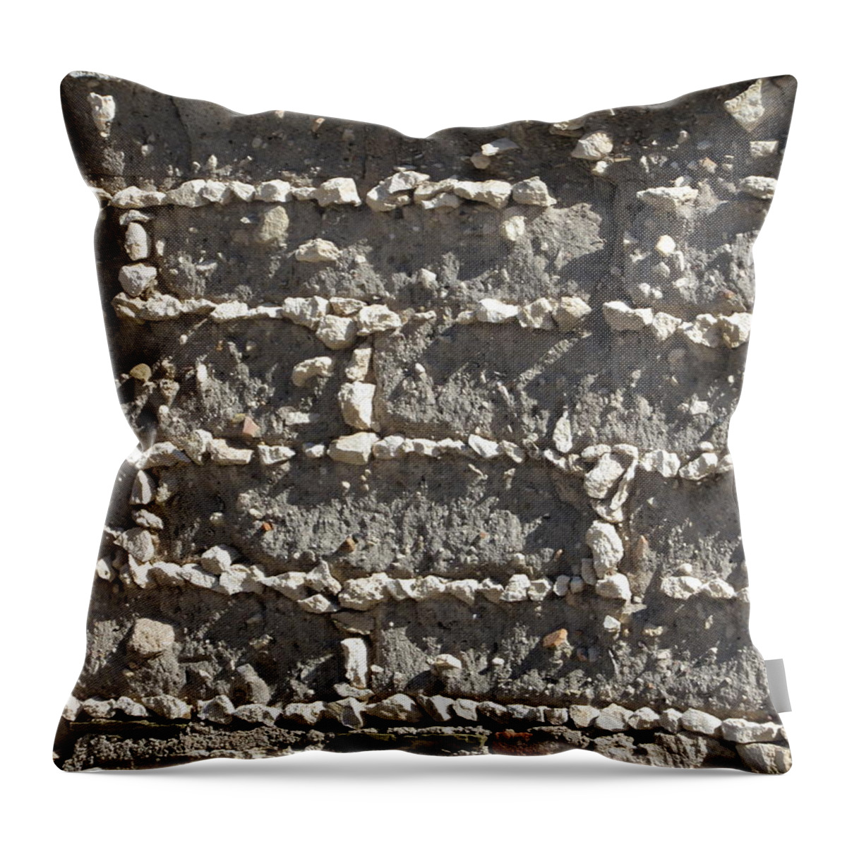 Interior Design Throw Pillow featuring the digital art Patch #2 #1 by Scott S Baker