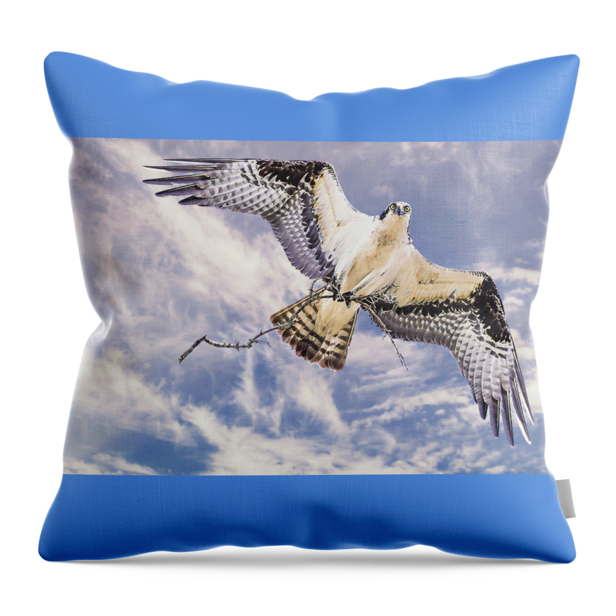 Ontario Throw Pillow featuring the photograph Osprey building nest by Tracy Munson