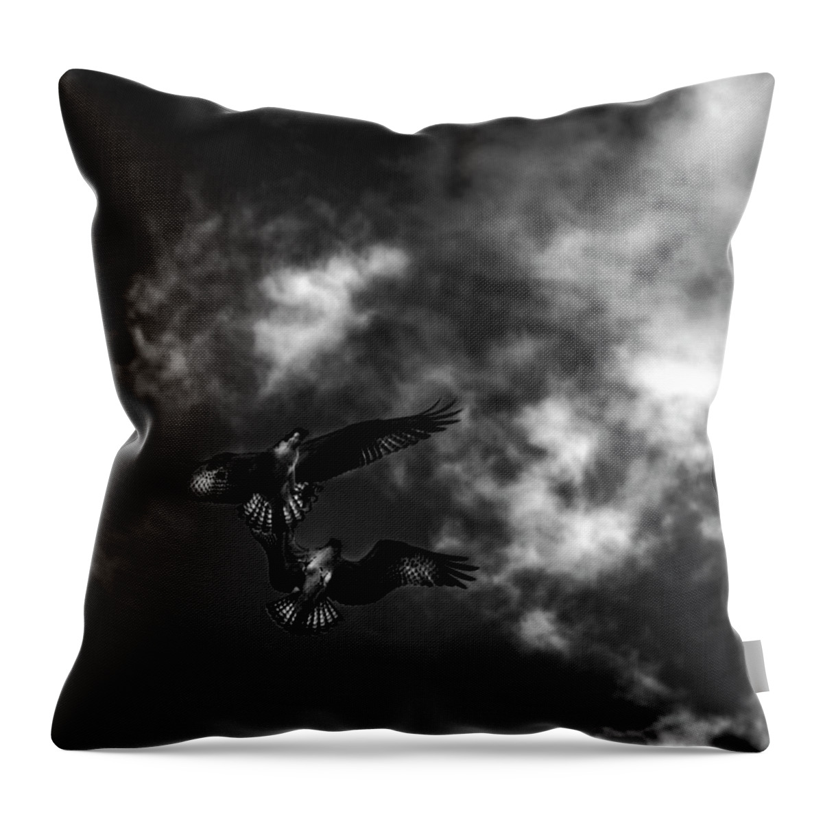 Osprey Throw Pillow featuring the photograph Osprey Dog Fight In Black and White by Greg and Chrystal Mimbs