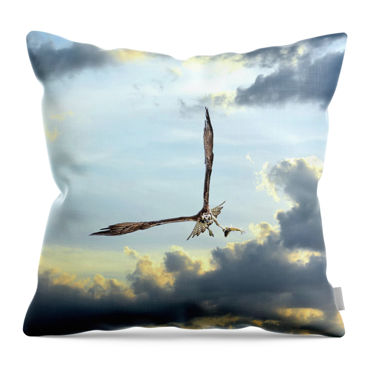 Osprey Throw Pillow featuring the photograph Osprey flying in clouds at sunset with fish in talons by Patrick Wolf