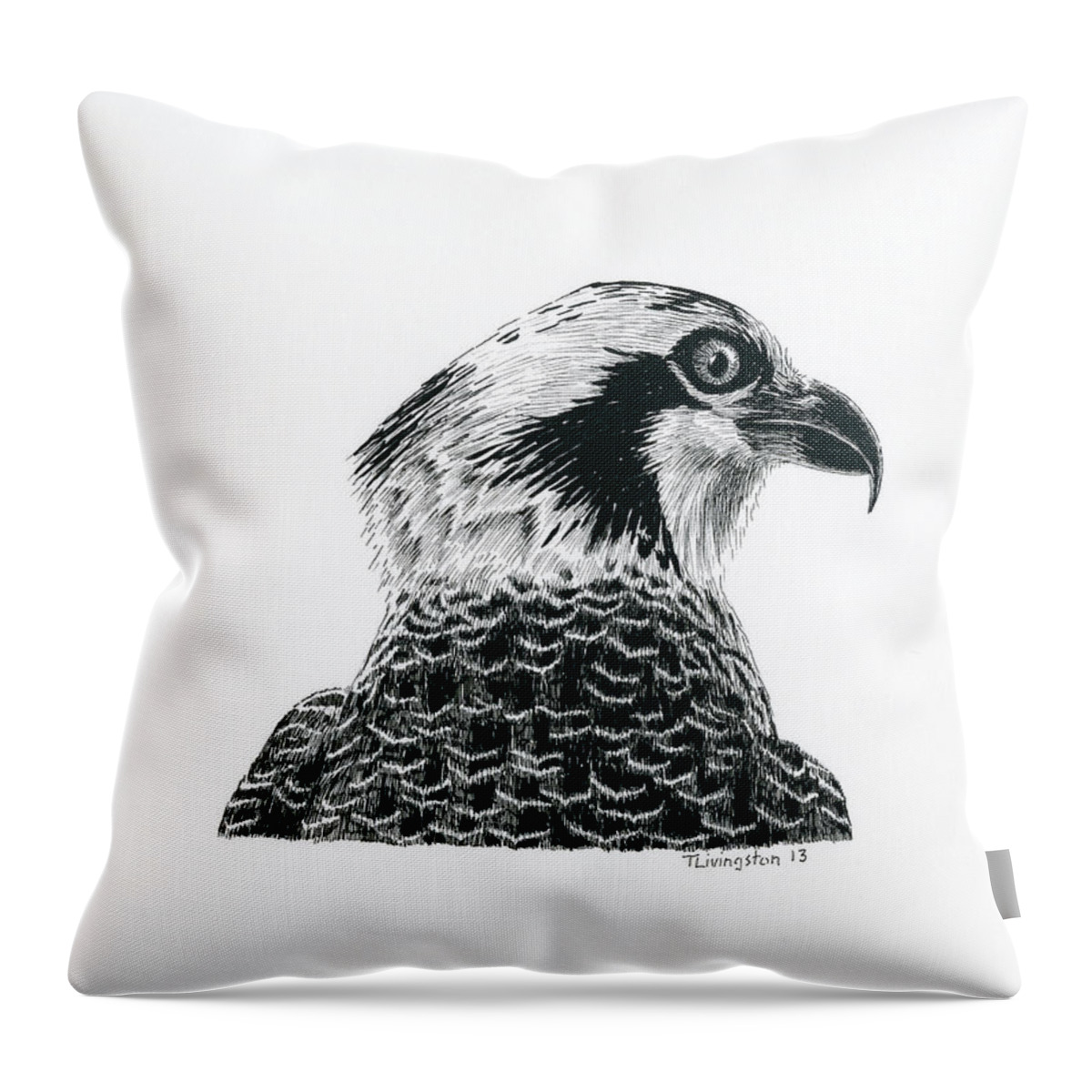 Osprey Throw Pillow featuring the drawing Osprey Portrait by Timothy Livingston