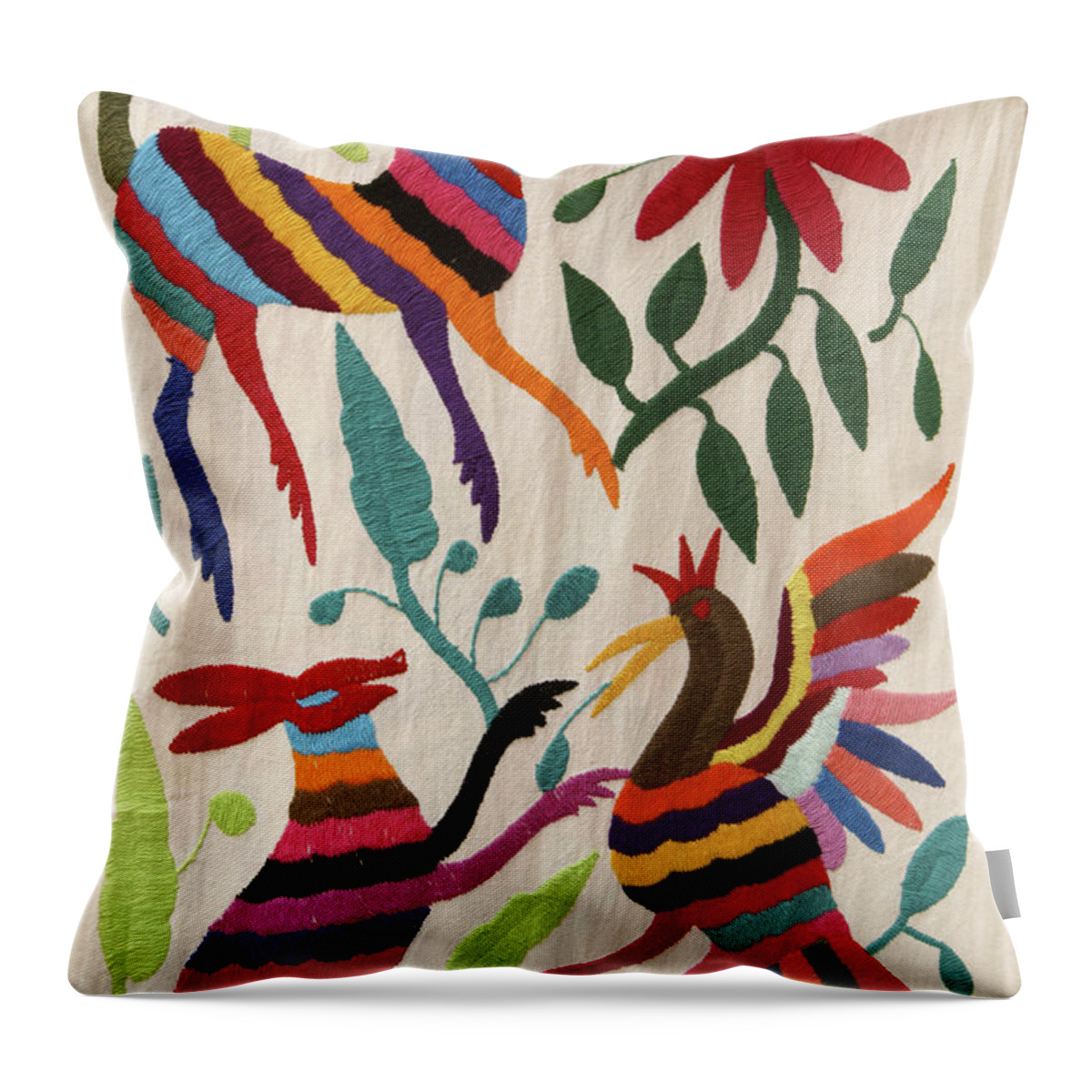 Mexico Throw Pillow featuring the photograph Otomi Fantasy Mexico by John Mitchell